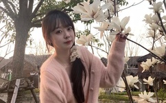 百度影音看黄色